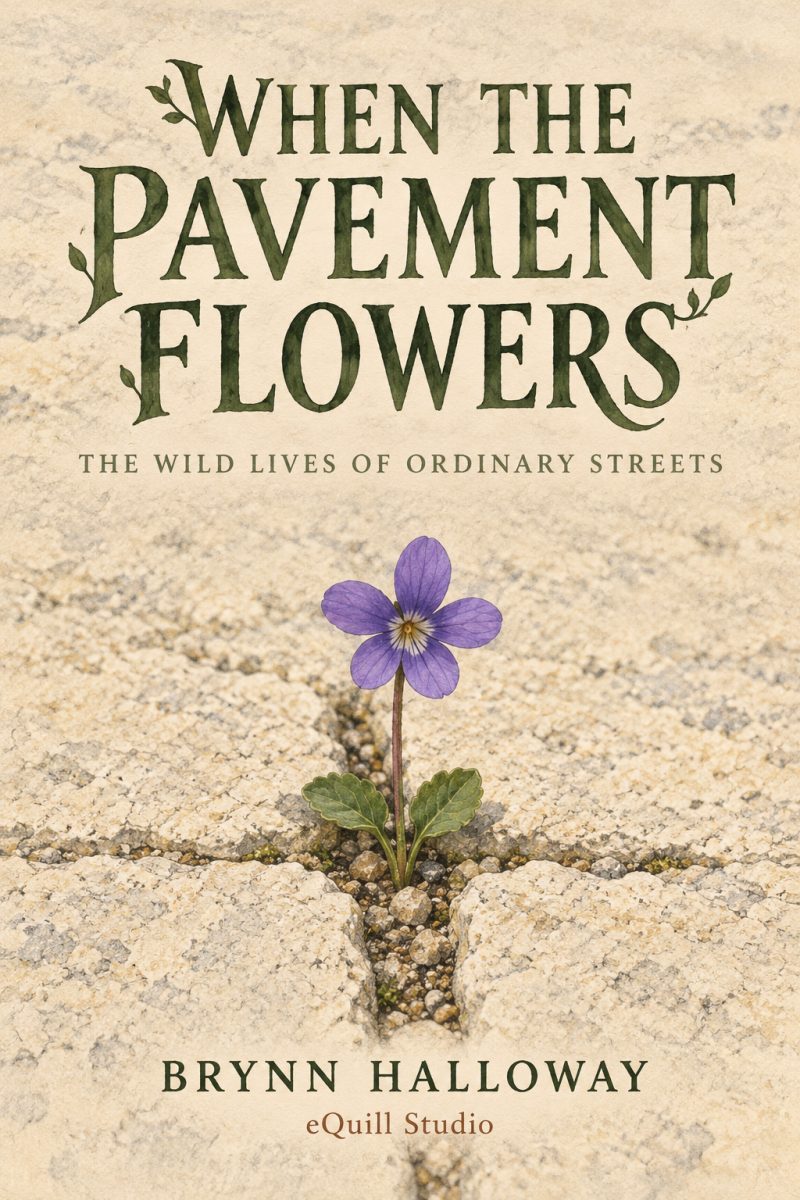 Cover of When the Pavement Flowers